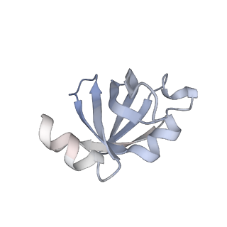 22464_7jsz_v_v1-2
ArfB Rescue of a 70S Ribosome stalled on truncated mRNA with a partial A-site codon (+2-IV)