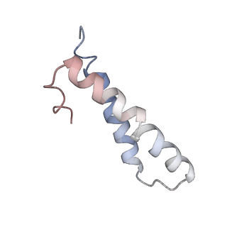 22464_7jsz_y_v1-1
ArfB Rescue of a 70S Ribosome stalled on truncated mRNA with a partial A-site codon (+2-IV)