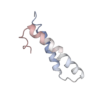 22464_7jsz_y_v1-2
ArfB Rescue of a 70S Ribosome stalled on truncated mRNA with a partial A-site codon (+2-IV)