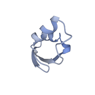 22464_7jsz_z_v1-2
ArfB Rescue of a 70S Ribosome stalled on truncated mRNA with a partial A-site codon (+2-IV)