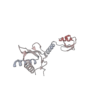 36619_8jsg_A_v1-0
Structure of the 30S-IF3 complex from Escherichia coli