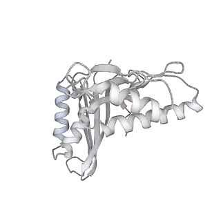 36619_8jsg_h_v1-0
Structure of the 30S-IF3 complex from Escherichia coli