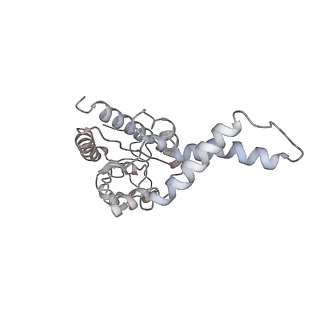 36619_8jsg_j_v1-0
Structure of the 30S-IF3 complex from Escherichia coli