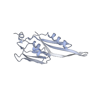 36619_8jsg_k_v1-0
Structure of the 30S-IF3 complex from Escherichia coli