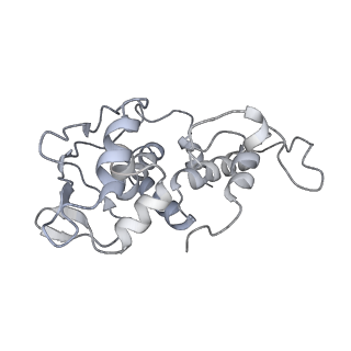 36619_8jsg_l_v1-0
Structure of the 30S-IF3 complex from Escherichia coli