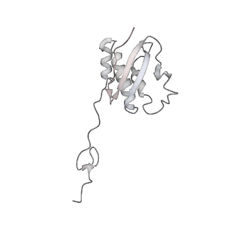 36619_8jsg_o_v1-0
Structure of the 30S-IF3 complex from Escherichia coli