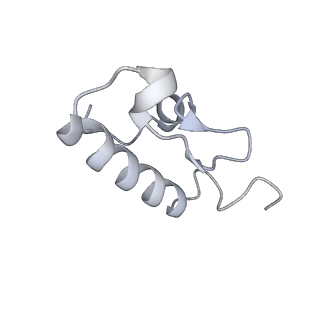 36620_8jsh_1_v1-0
Structure of the 30S-body-IF3 complex from Escherichia coli