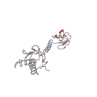 36620_8jsh_A_v1-0
Structure of the 30S-body-IF3 complex from Escherichia coli