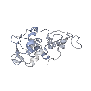 36620_8jsh_l_v1-0
Structure of the 30S-body-IF3 complex from Escherichia coli