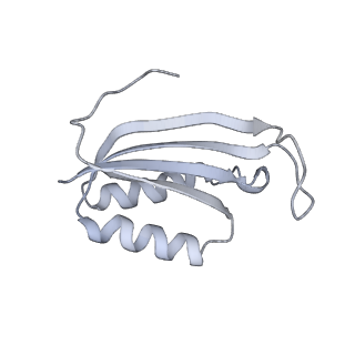 36620_8jsh_n_v1-0
Structure of the 30S-body-IF3 complex from Escherichia coli