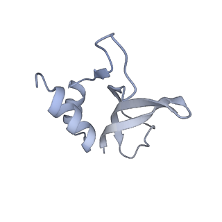 36620_8jsh_y_v1-0
Structure of the 30S-body-IF3 complex from Escherichia coli