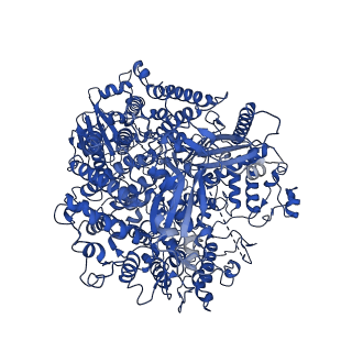 36622_8jsl_A_v1-1
The structure of EBOV L-VP35-RNA complex