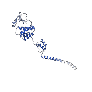 36622_8jsl_B_v1-1
The structure of EBOV L-VP35-RNA complex