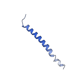 36622_8jsl_D_v1-1
The structure of EBOV L-VP35-RNA complex
