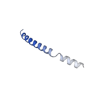 36622_8jsl_E_v1-1
The structure of EBOV L-VP35-RNA complex