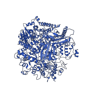 36623_8jsm_A_v1-1
The structure of EBOV L-VP35-RNA complex (conformation 1)