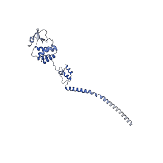 36623_8jsm_B_v1-1
The structure of EBOV L-VP35-RNA complex (conformation 1)