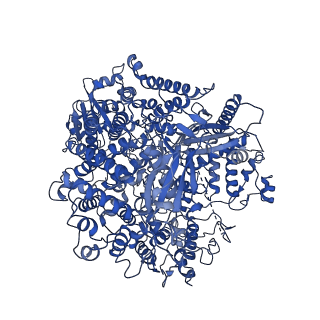 36624_8jsn_A_v1-1
The structure of EBOV L-VP35-RNA complex (conformation 2)