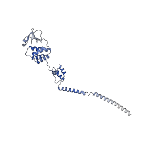36624_8jsn_B_v1-1
The structure of EBOV L-VP35-RNA complex (conformation 2)