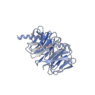 36625_8jso_B_v1-1
AMPH-bound hTAAR1-Gs protein complex
