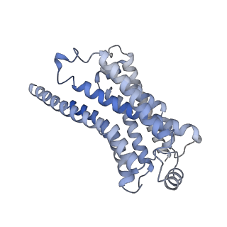 36625_8jso_R_v1-1
AMPH-bound hTAAR1-Gs protein complex