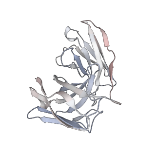 36625_8jso_S_v1-1
AMPH-bound hTAAR1-Gs protein complex