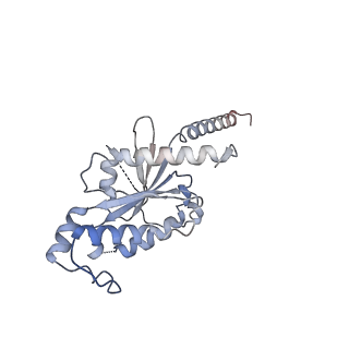 36626_8jsp_A_v1-1
Ulotaront(SEP-363856)-bound Serotonin 1A (5-HT1A) receptor-Gi complex