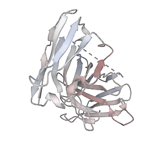 36626_8jsp_E_v1-1
Ulotaront(SEP-363856)-bound Serotonin 1A (5-HT1A) receptor-Gi complex