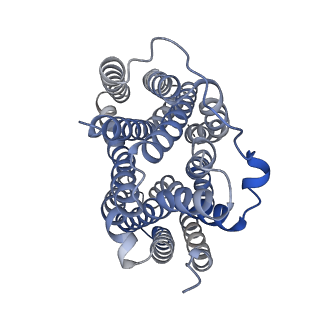 36628_8jsw_A_v1-1
Human VMAT2 complex with serotonin