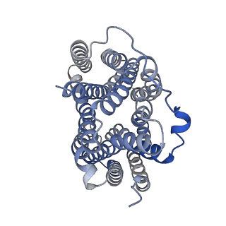 36628_8jsw_A_v1-2
Human VMAT2 complex with serotonin