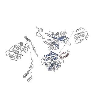 9882_6jsi_A_v1-1
Co-purified Fatty Acid Synthase