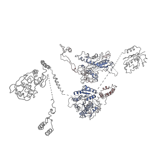 9882_6jsi_A_v1-2
Co-purified Fatty Acid Synthase