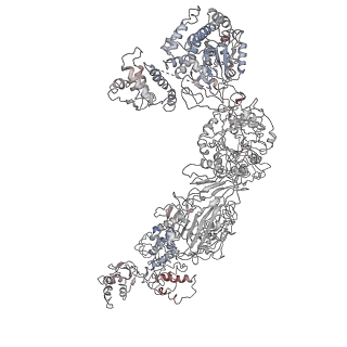 9882_6jsi_B_v1-1
Co-purified Fatty Acid Synthase