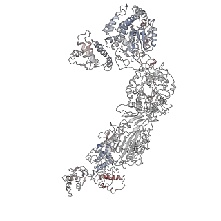 9882_6jsi_B_v1-2
Co-purified Fatty Acid Synthase