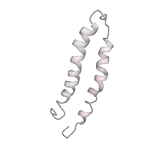 9882_6jsi_C_v1-2
Co-purified Fatty Acid Synthase