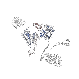 9882_6jsi_D_v1-1
Co-purified Fatty Acid Synthase