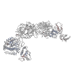 9882_6jsi_F_v1-1
Co-purified Fatty Acid Synthase