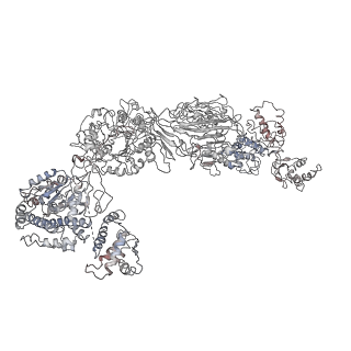 9882_6jsi_F_v1-2
Co-purified Fatty Acid Synthase