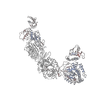 9882_6jsi_G_v1-1
Co-purified Fatty Acid Synthase