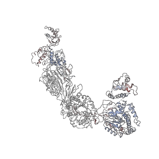 9882_6jsi_G_v1-2
Co-purified Fatty Acid Synthase