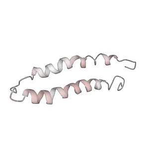 9882_6jsi_H_v1-2
Co-purified Fatty Acid Synthase