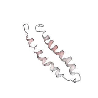 9882_6jsi_I_v1-2
Co-purified Fatty Acid Synthase