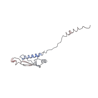 22466_7jt1_8_v1-1
70S ribosome stalled on long mRNA with ArfB-1 and ArfB-2 bound (+9-III)