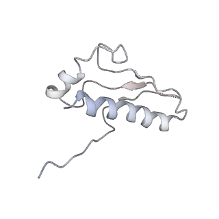 22466_7jt1_9_v1-0
70S ribosome stalled on long mRNA with ArfB-1 and ArfB-2 bound (+9-III)