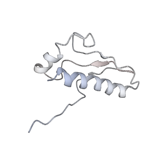 22466_7jt1_9_v1-1
70S ribosome stalled on long mRNA with ArfB-1 and ArfB-2 bound (+9-III)