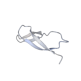 22466_7jt1_C_v1-1
70S ribosome stalled on long mRNA with ArfB-1 and ArfB-2 bound (+9-III)