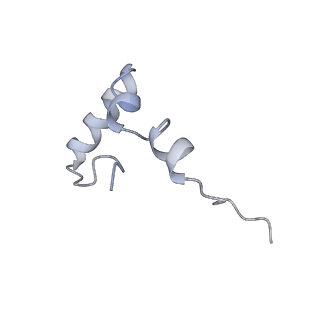 22466_7jt1_D_v1-0
70S ribosome stalled on long mRNA with ArfB-1 and ArfB-2 bound (+9-III)