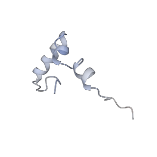 22466_7jt1_D_v1-1
70S ribosome stalled on long mRNA with ArfB-1 and ArfB-2 bound (+9-III)