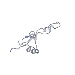22466_7jt1_E_v1-0
70S ribosome stalled on long mRNA with ArfB-1 and ArfB-2 bound (+9-III)