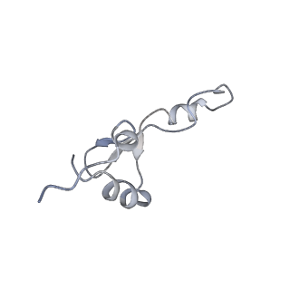 22466_7jt1_E_v1-1
70S ribosome stalled on long mRNA with ArfB-1 and ArfB-2 bound (+9-III)